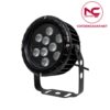 Ảnh bìa đèn chiếu cây NCC2D