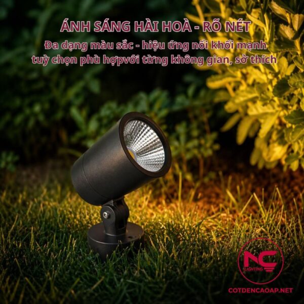 Ánh sáng đèn chiếu cây NCCND