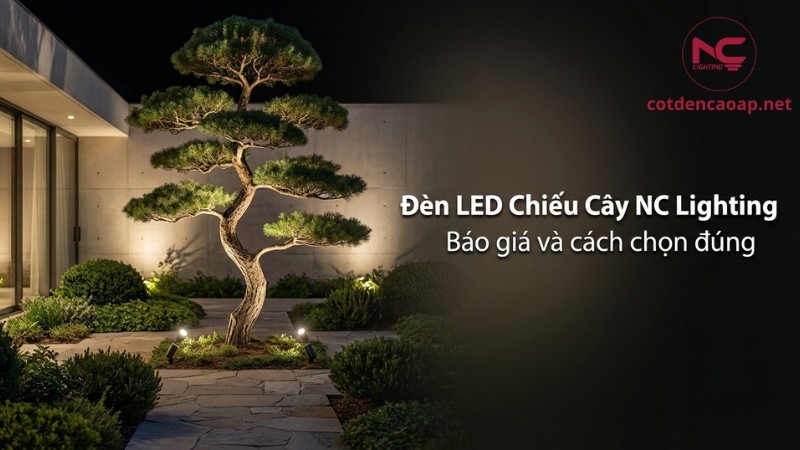 Đèn LED chiếu cây NC Lighting chiếu sáng sân vườn