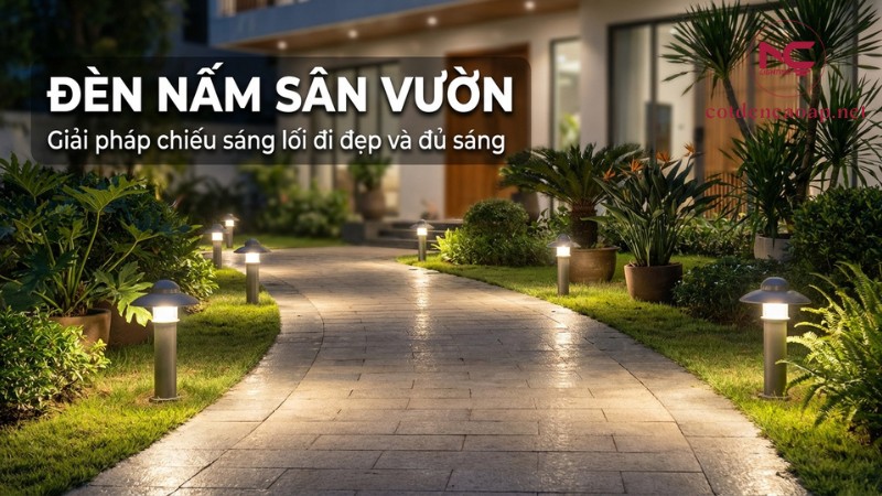 Ảnh thực tế lối đi sân vườn ban đêm lắp đèn nấm chiếu sáng tầm thấp